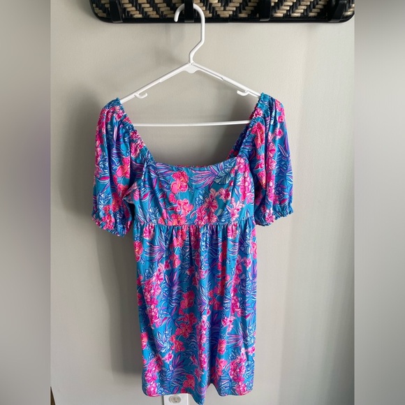 Lilly Pulitzer Delaney Short Sleeve Dress - Blue and Pink - Size 2 - Picture 6 of 15